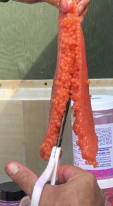 Curing Salmon Eggs - Becharof Lodge On The Egegik River