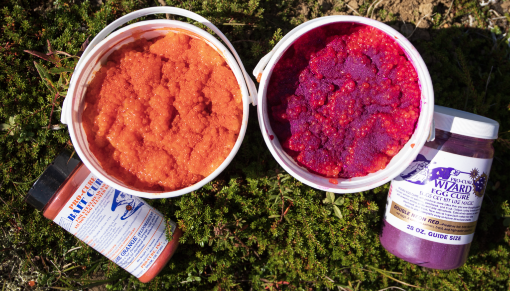 How to Cure Salmon Roe for Bait When Fishing for Salmon and