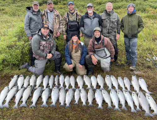 Silver Salmon Fishing On Alaska’s Egegik River