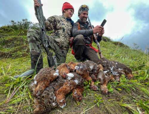 Ptarmigan Hunting With Becharof Lodge On The Egegik River